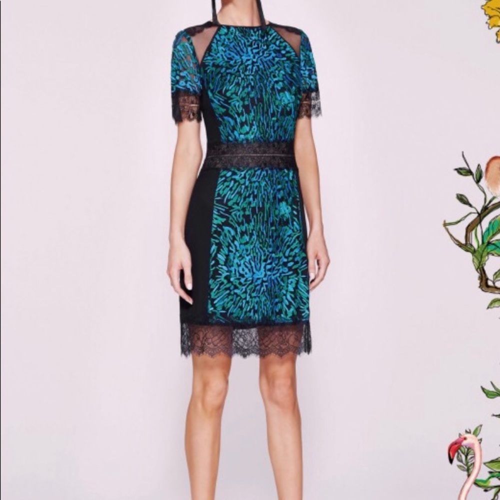 Tadashi Shoji Elsie dress